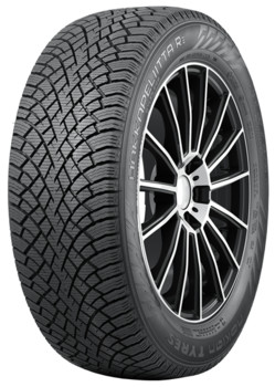 Шина Nokian Tyres (Ikon Tyres) Hakkapeliitta R5 205/55R17 XL