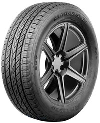 Шина Antares Majoris R1 305/35R20