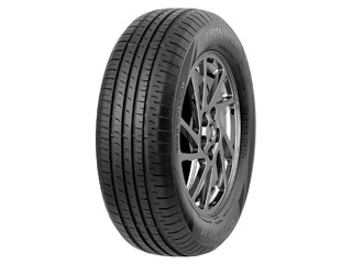 Шина Fronway Ecogreen 55 175/65R14